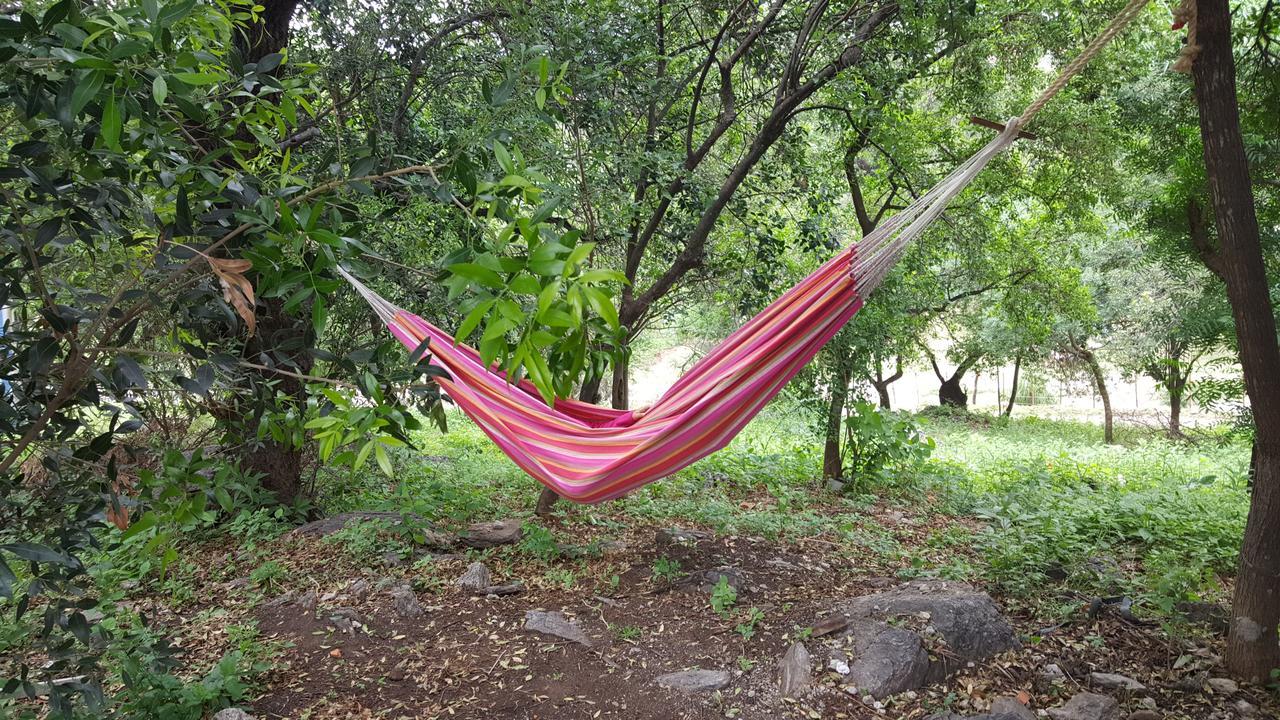 Alma Tierra