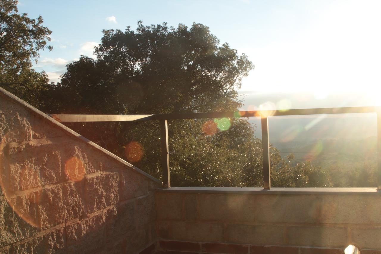 Alma Tierra Merlo