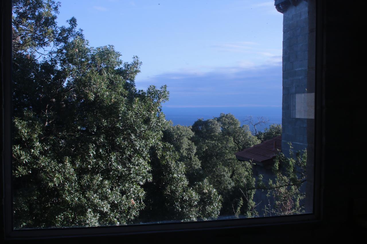 Alma Tierra Merlo